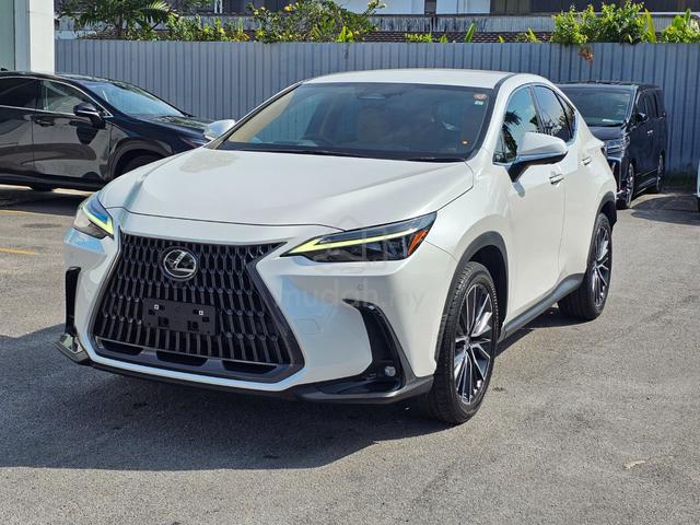 2023 Lexus NX250 2.5 LUXURY (A) WHITE VERSION L - 3