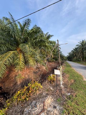 Tanjung Bin 1