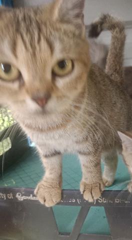 bsh - photo 4 of 5