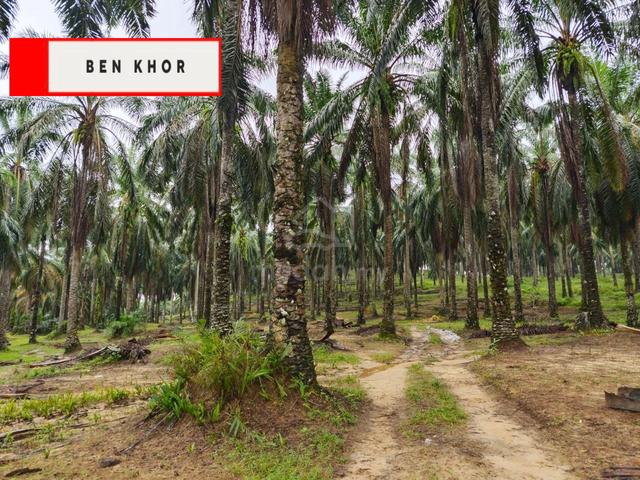 11.62 acres| Agricultural Land | Clean river water |Selama | PERAK 1