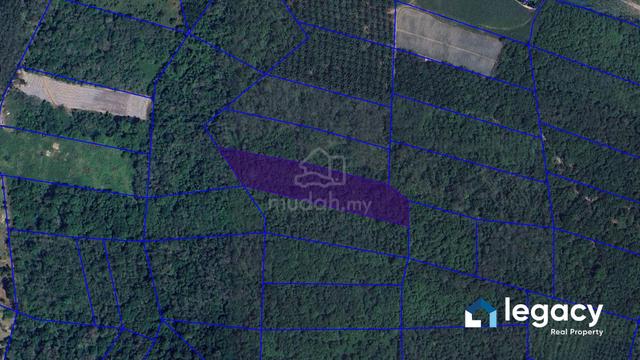 TANAH KOSONG 3 Ekar untuk pertanian di Kampung Labit 1
