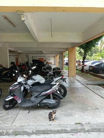 Sering Angsana 1