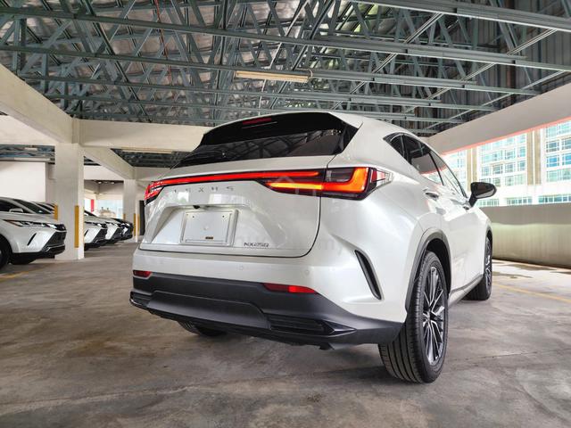 2023 Lexus NX250 2.5 VERSION-L (A) GRADE 4.5B - 4