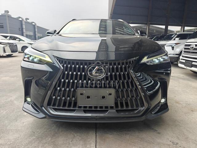 2023 Lexus NX 250 Luxury 4Cam RedLeather DIMHUD PB - 3