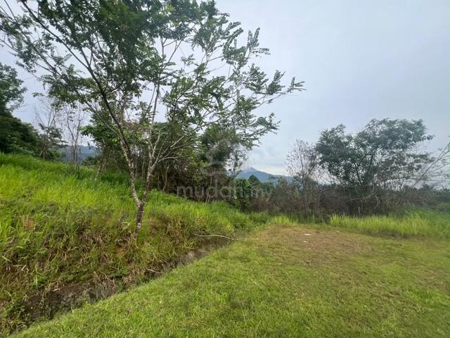 Terengganu Besut Agricultural Freehold Land For Sale 1