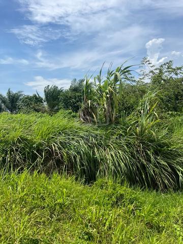 Tanah pertanian dijual kapar batu13 wce kawasan industri 1