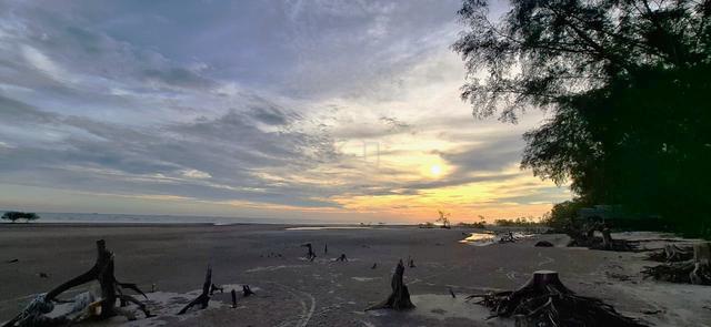 Selangor Seafront | KM Ready Mixed Development Zone Land 1