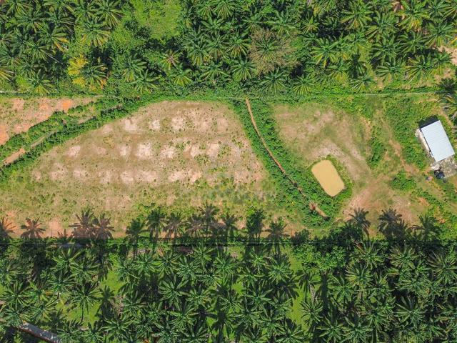 FLAT LAND + 3 ACRE❗️Agricultural Land, Rembau, Negeri Sembilan 5