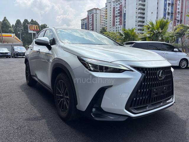 2022 Lexus NX 250 2.5 BASE DIM BSM SUNROF UNRG - 2