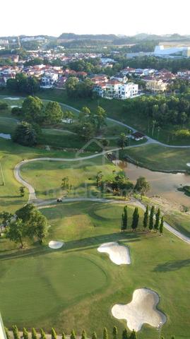 Covillea 1