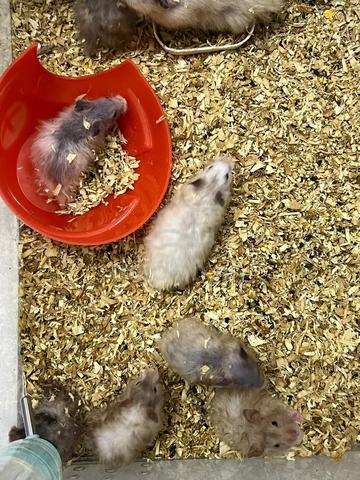 Carousel Image