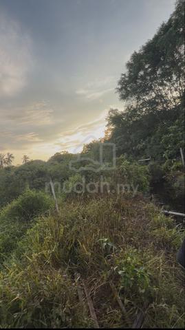 Agriculture land 1