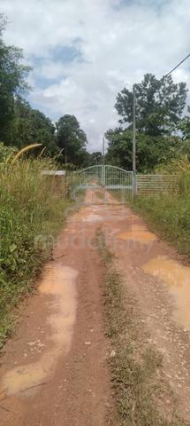 Tanah pertanian di Gelang Patah 1