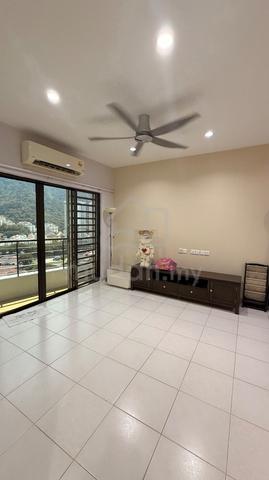 Palm Palladium 1