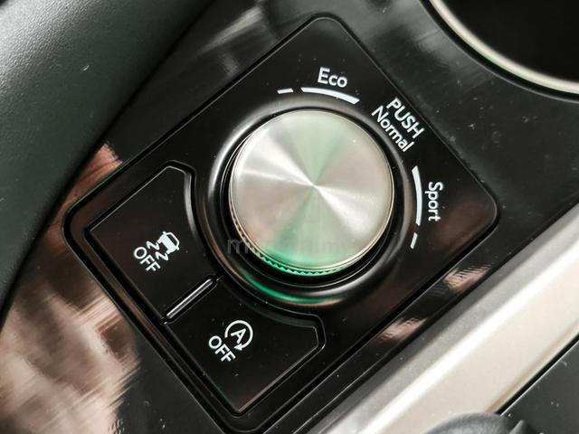2022 PREMIUM 24K KM COMFORT Lexus RX300 2.0 RX 300 - 5