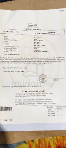 Tanah lot di kg fikri setiu dekat sk fikri 1