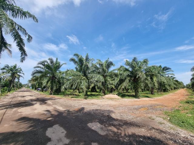 Zoning Industrial Agricultural Land For SALE,Location More Convenient 1