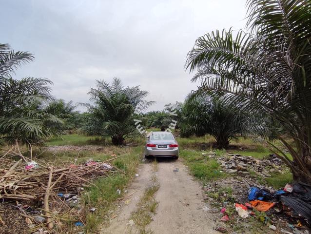 Nice!! Nice!! Jenjarom 4.512 acres agricultural land zoned residential 4