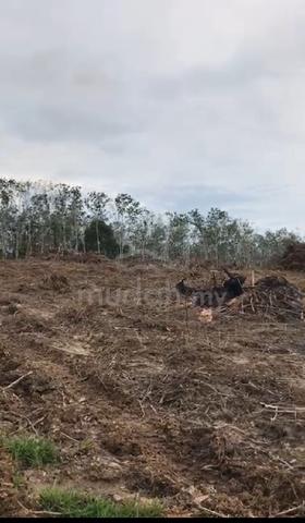 Tanah untuk dijual 1