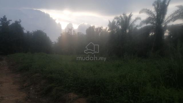 2 Ekar Tanah Kosong Kg Puting Buloh Kasap Segamat Johor 1
