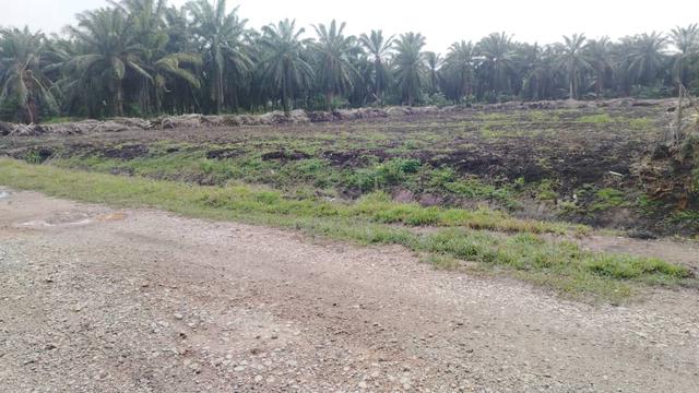 Banting Land for Sale 2