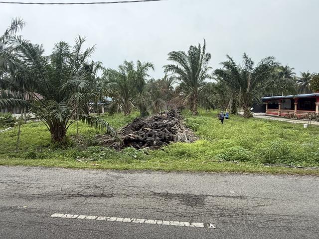Tanah pertanian di Parit 2 Sungai Burong Tanjung Karang untuk dijual 1
