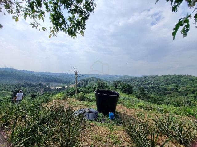 Tanah Pertanian 1.58 Ekar Kampung Bukit Cerakah Dekat Puncak Alam 1