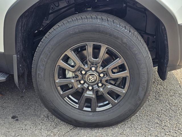 2025 Toyota LANDCRUISER 2.8 250 VX (A) - 5