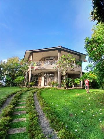 Musang King Estate 1
