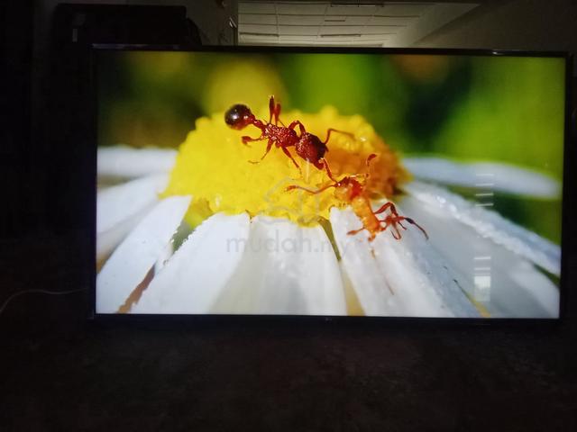 LG smart tv 4K 65inch good condition ada warranty - photo 4 of 6