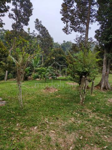 6 Acres Agricultural Land Rinching Hilir Bangi 1