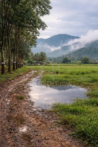5 Acres Freehold Agricultural Land @ Broga , Car Accessible , RM19 psf 1