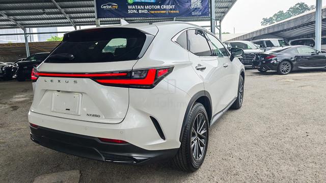2023 Lexus NX250 2.5 BASE GRADE (A) BLACK LEATHER - 3
