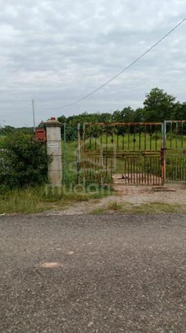 Tanah pertanian untuk disewa 1