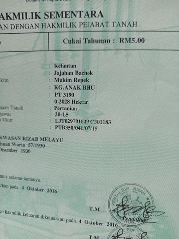 tanah pertanian di melawi 1