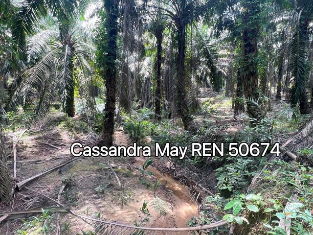 Freehold Alor Gajah Machap Umboo Nearby Residential Area 1
