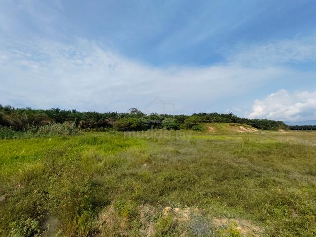 Land for Rent 4