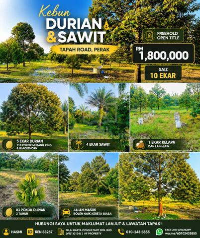 Tanah Kebun Freehold Open Tittle, 10 acre's untuk dijual 1