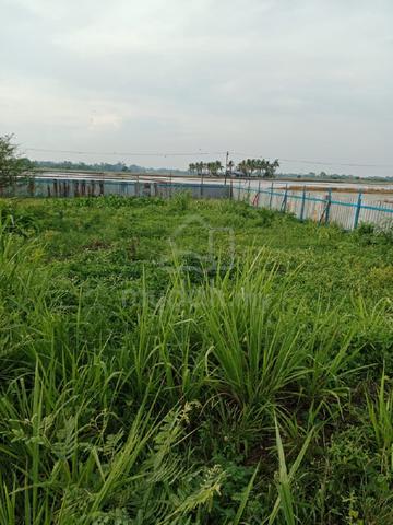 Tanah untuk Dijual di Guar Perahu, Pulau Pinang
1