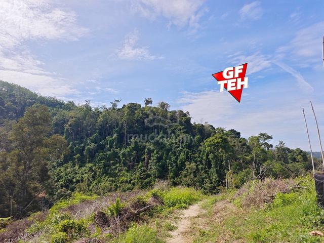 8.1 acre High Mountain Agricultural Land/Durian Orchard Junjong Kedah 1