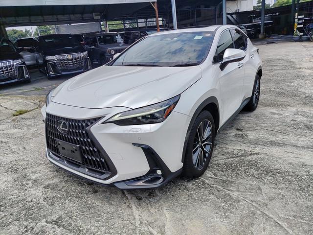 2023 Lexus Nx250 2.5 Version L S/R 8,000km Grade5A - 2