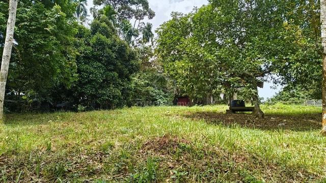 TERMURAH Kebun Dusun Tanah 2 .15 Ekar Kuang 1