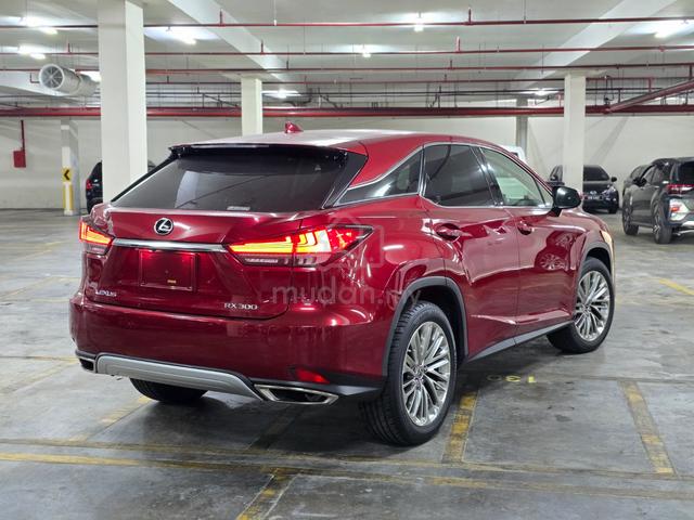 2020 Lexus RX300 LUXURY 2.0L 360camera,sunroof,BSM - 2