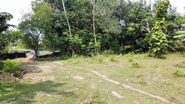 (Freehold MCL) Tnh Pembangunan 4.47 Ekar di Kg Ladang, Semabok,Melaka 1