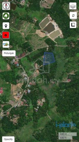 Tanah Sawit Dan Dusun Buahan Di Lanchang Untuk Dijual
