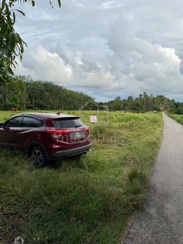 Tanah Pertanian Untuk Dijual diTelaga Ara Gunung Bachok Kelantan 1