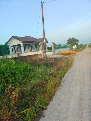 1 Ekar Tanah Sawah Pekan belakang Masjid At (Pahang Tua) – Harga Murah 1