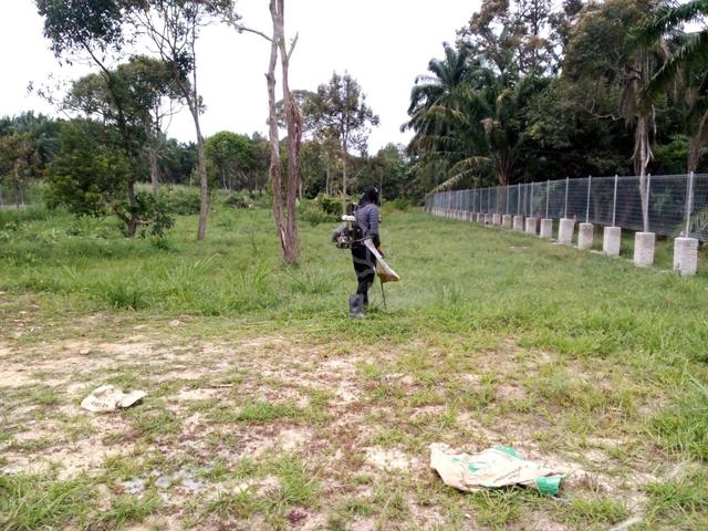 1.5 Acre Flat Commercial Land for Rent with boundary wall and Fencing 1