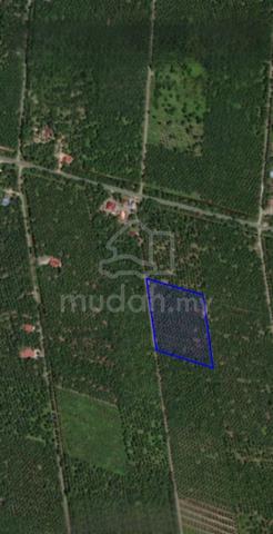 [NEARMAINROAD|TANAM SAWIT]Tanah Pertanian Sungai Panjang Sabak Bernam 2