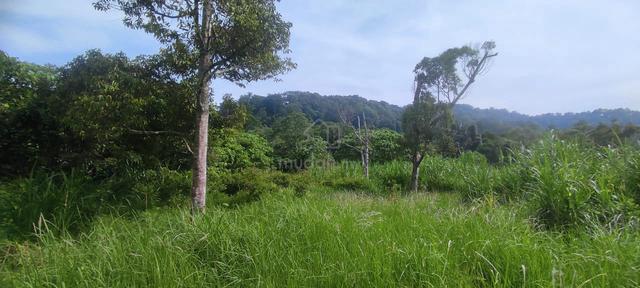 Tanah Pertanian 0.87 Ekar Mukim Nyalas Jasin Melaka 1